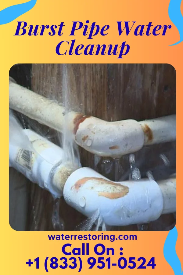 Burst Pipe Water Cleanup in Homa Hills, WY