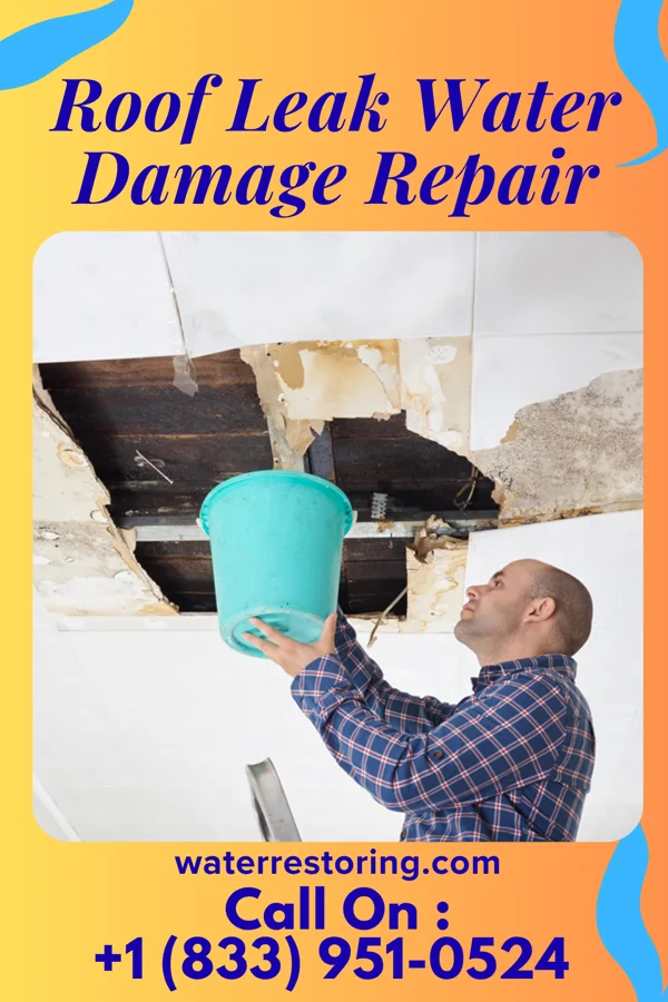 Roof Leak Water Damage Repair in Homa Hills, WY