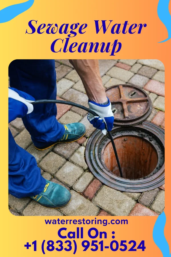 Sewage Water Cleanup in Homa Hills, WY